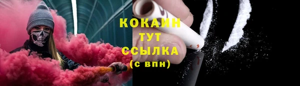 винт Арсеньев