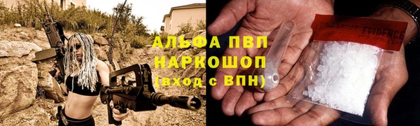 СК Аркадак