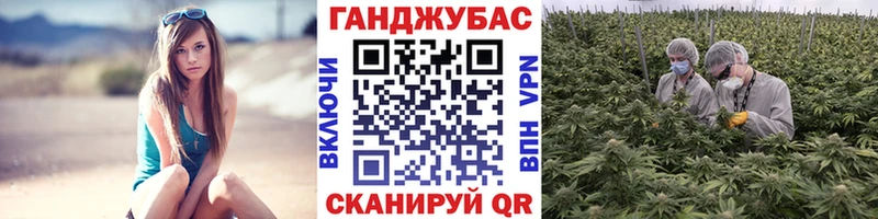 ссылка на мегу ТОР  дарк нет наркотические препараты  Бошки Шишки план  Камбарка 